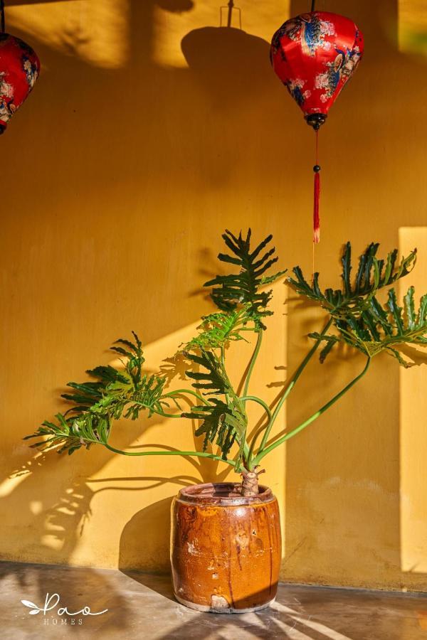 Pao Homes - An Hai Villa, Family-Friendly Villa With Pool ホイアン エクステリア 写真